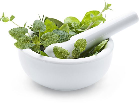 Валерия Кирпищикова