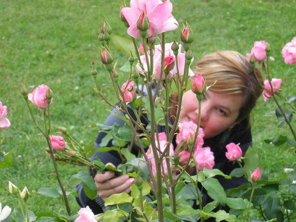 Елена Труфанова