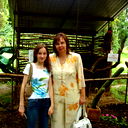 Елена Ильинская