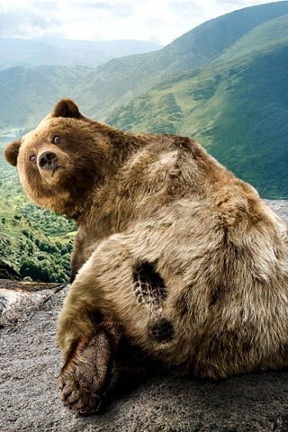 Ильмурат Мухамадеев