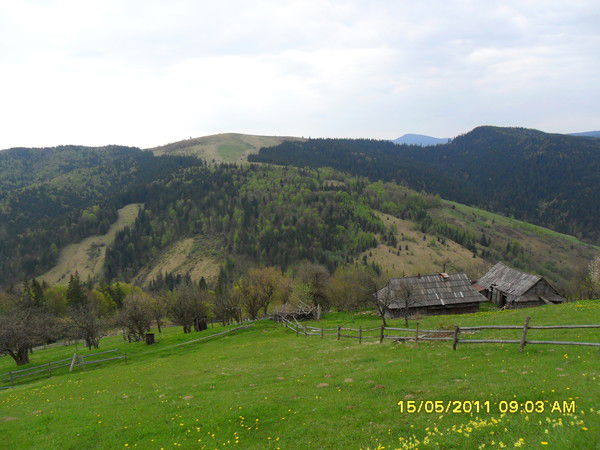 Андрей Крипчук