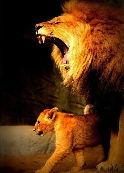 Мурат Бекжанов