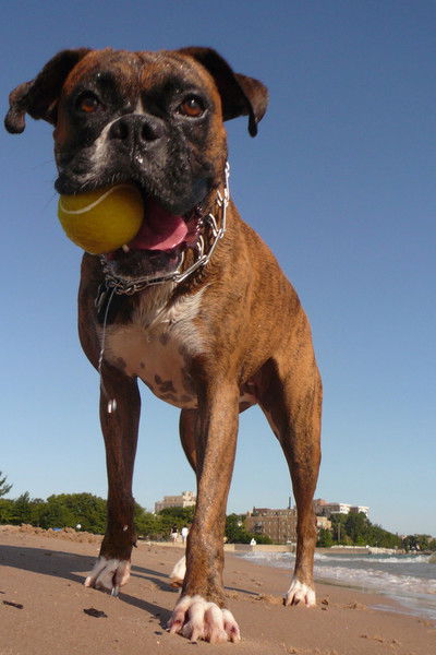 Александр Федерягин