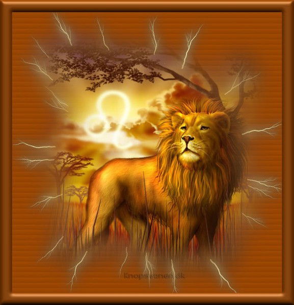 Шамиль Хафизов