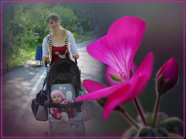 Анастасия Ванина