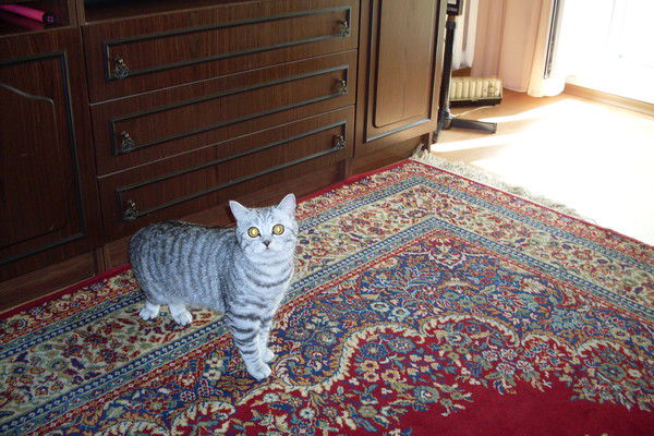 Людмила Романова