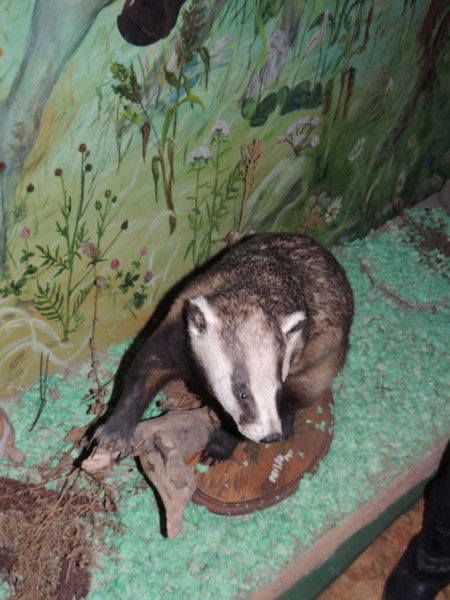 Вагановская Сош Ваганово