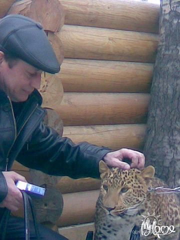 Юрий Ковалёв