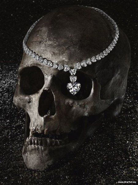 Николай Коцуренко