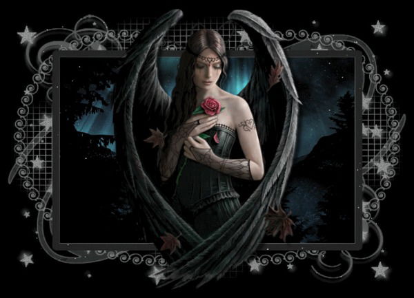 Наталья Крох