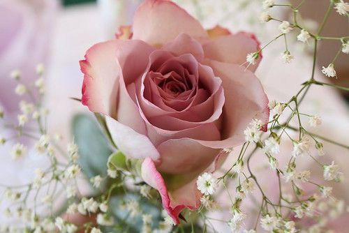 Клара Дуйсебаева