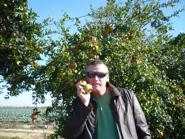 Владимир Осипов