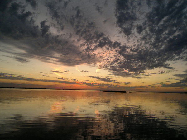 Дмитрий Татаркин