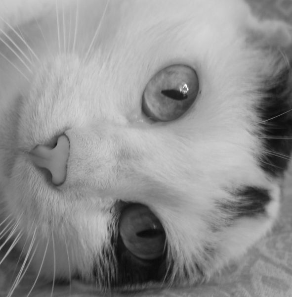 Ирина Смирнова