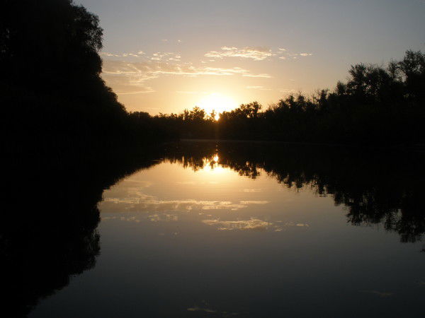 Глеб Шошкин