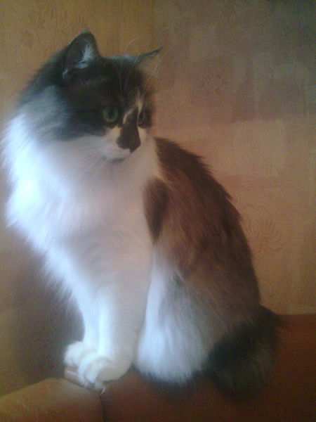 Вадим Петухов