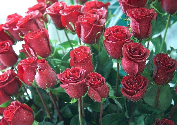 Татьяна Пешкова