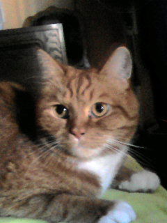 Лада Иванова