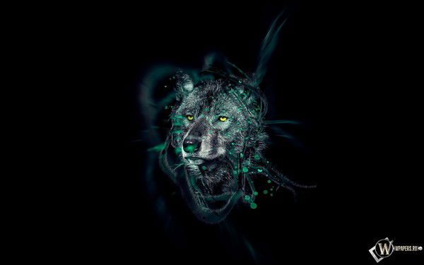 Неизвестно Неизвестно