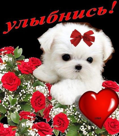 Мария Улюшева