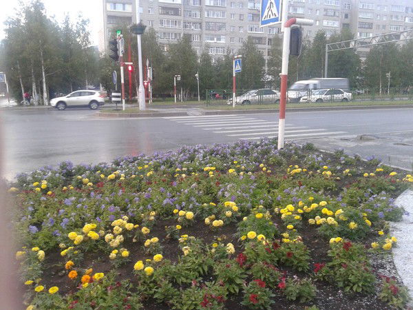 Лилия Сагирова