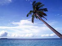 Александра Коробова