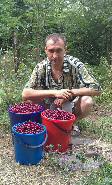 Михаил Кольман