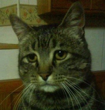 Антон Сметанин