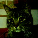 Антон Сметанин