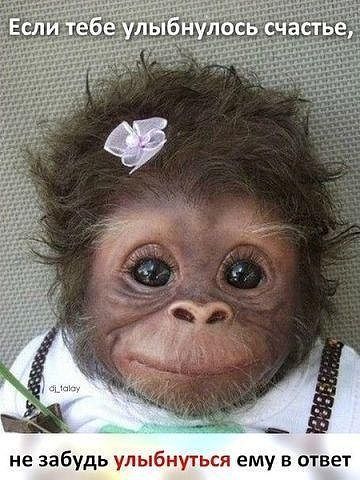 Елена Радаева