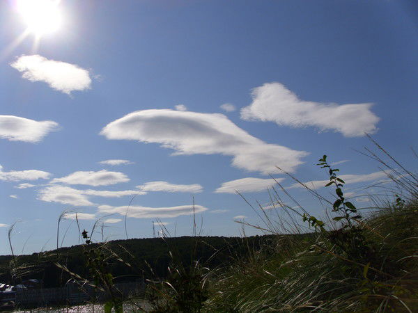 Наталья Коваленко