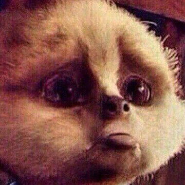 Бахонаи Бахонаи