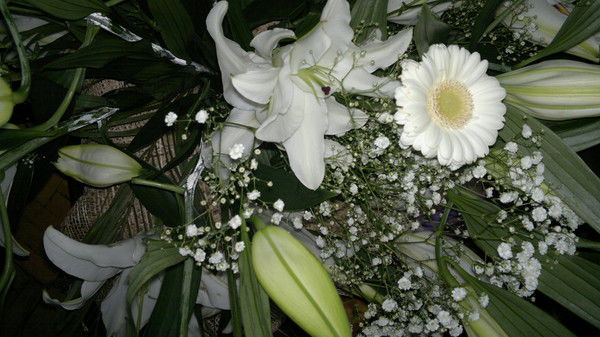 Саша Рустамова