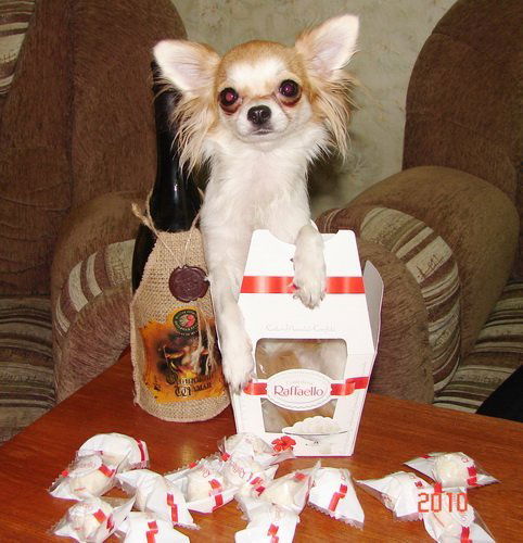 Светлана Зубова