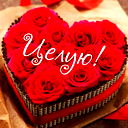 Yusuf