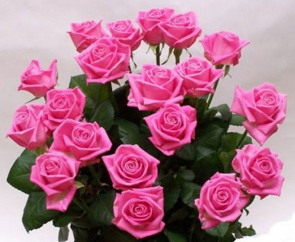 Кружалина Ольга