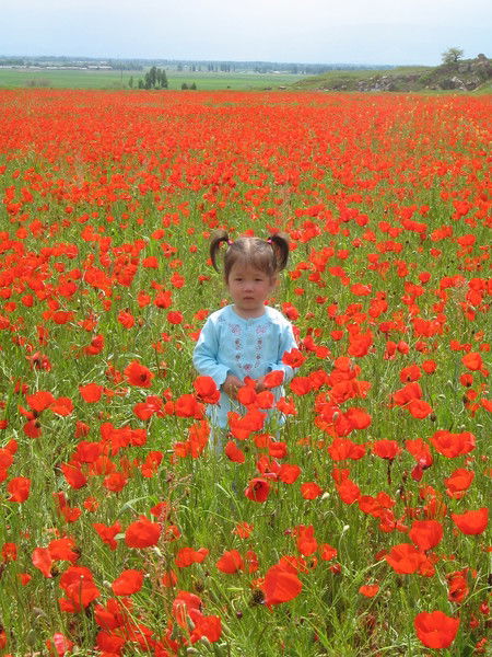 Сара Айтельбаева