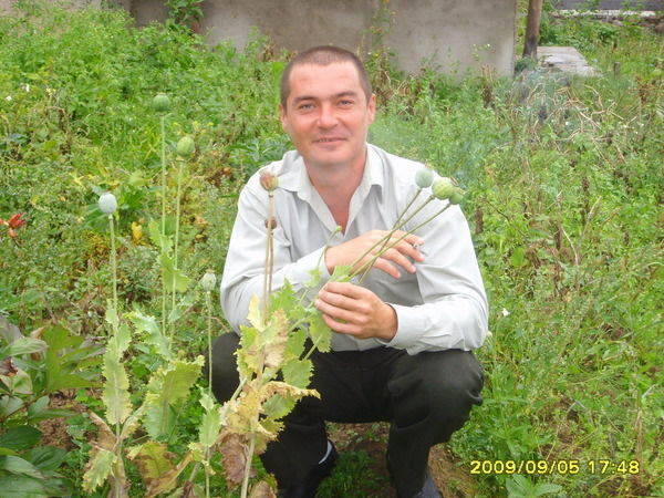 Виктор Дмитриев