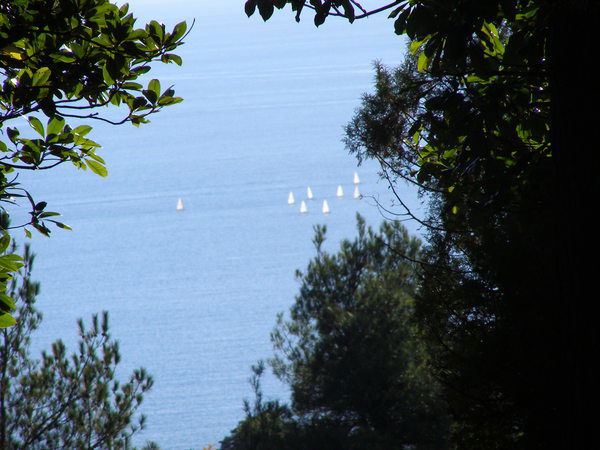 Наталия Касян