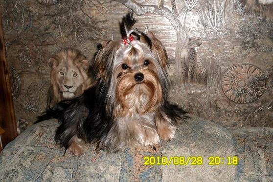 Евгений Махров