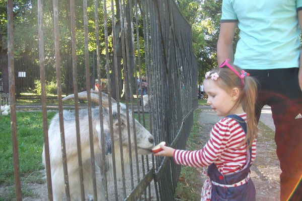 Евгений Бурлаков