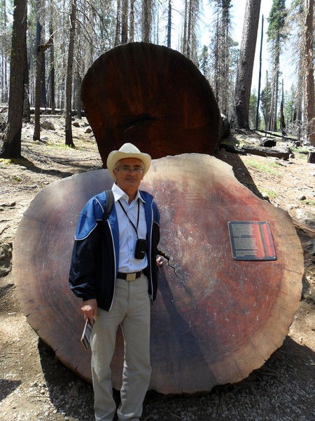 Сергей Любимов