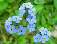 Маргарита Сагитова