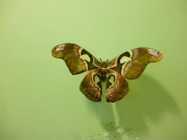 ☻Наталья Величко☻