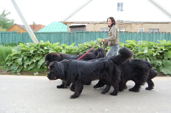 Анна Лутченкова