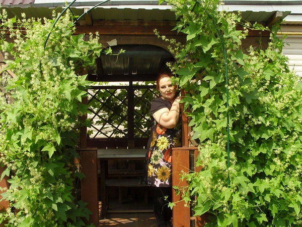 Наталья Осинцева