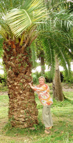 Екатерина Спиридонова