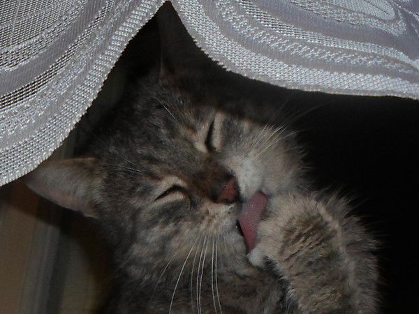 Тамара Симбирцева