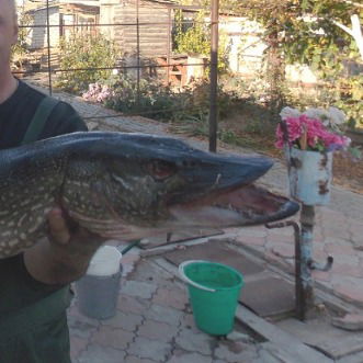 Андрей Полянский