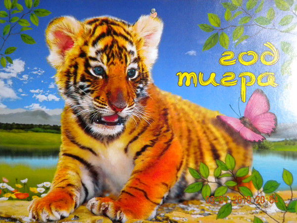 Лариса Никитина